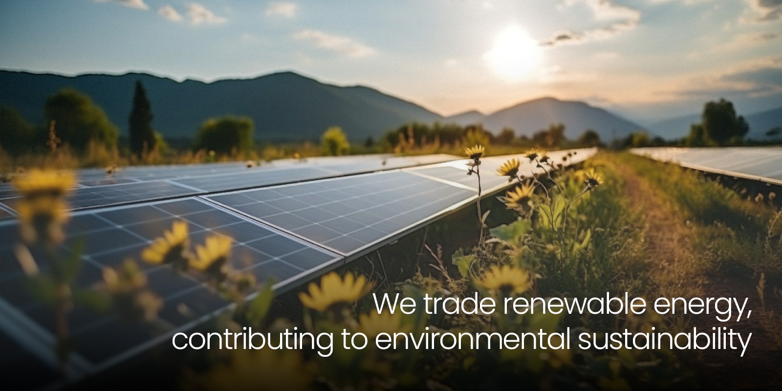 We-trade-renewable-energy,contributing-to-environmental-sustainability